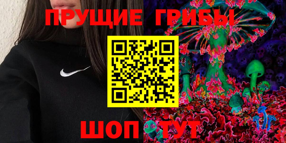 Лениногорск  Псилоцибиновые грибы мухоморы  Вход с VPN 